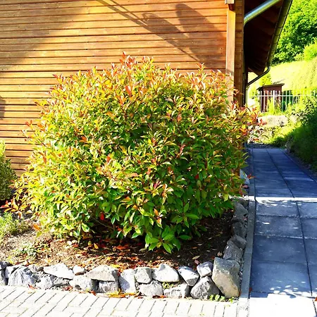 5 Sterne Tommy Mit Kamin, Seeblick Und Grosser Terrasse